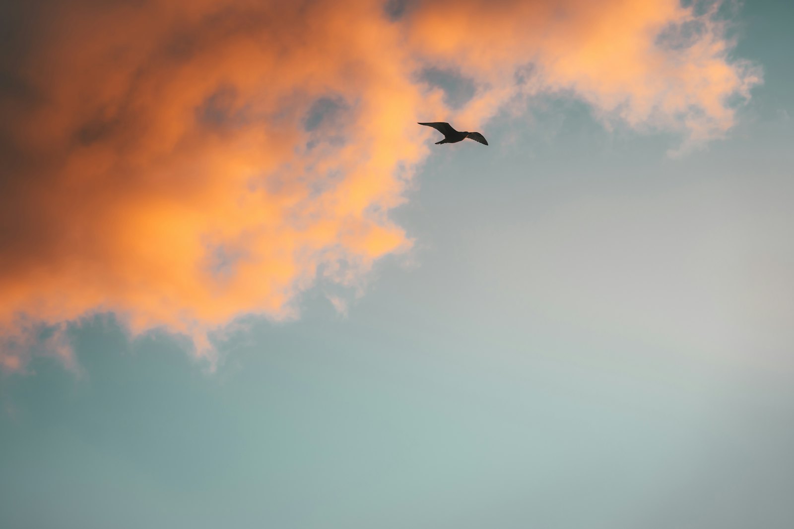 Pink and violet sky above a calm sea